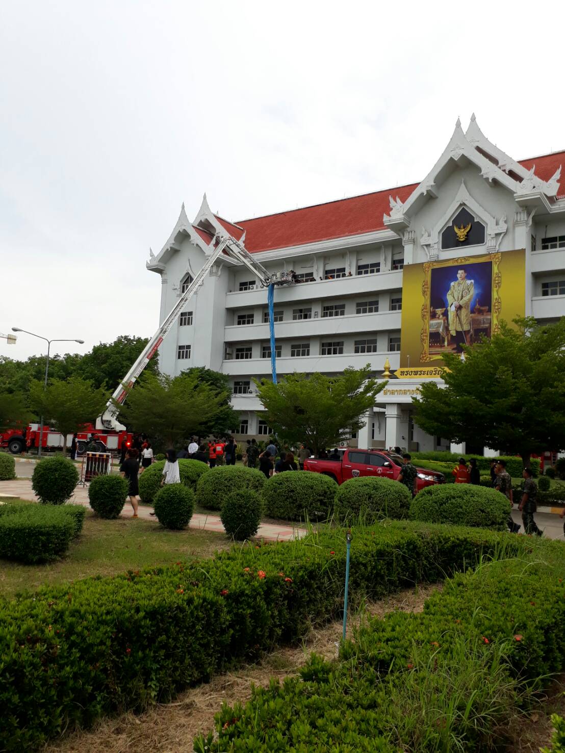 Mol-Thailand